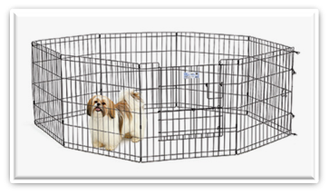 גדר גורים גדר גורים